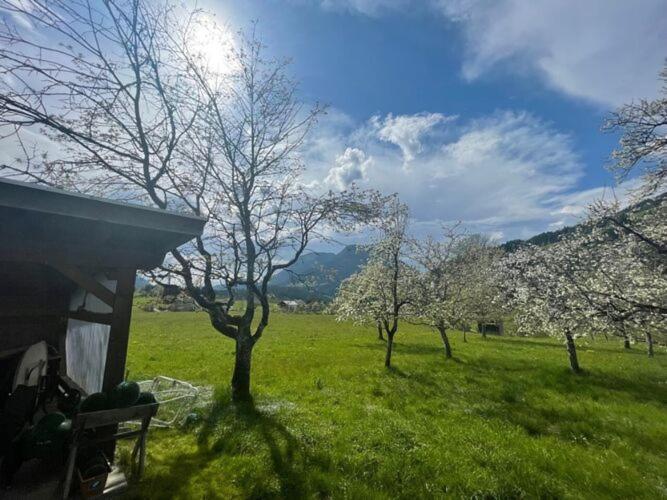 Holiday Home, Soell 外观 照片